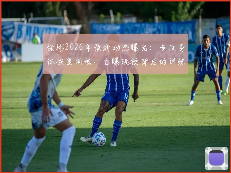 徐彬2026年最新动态曝光:专注身体恢复训练,自曝玩梗背后的训练日常与状态调整计划